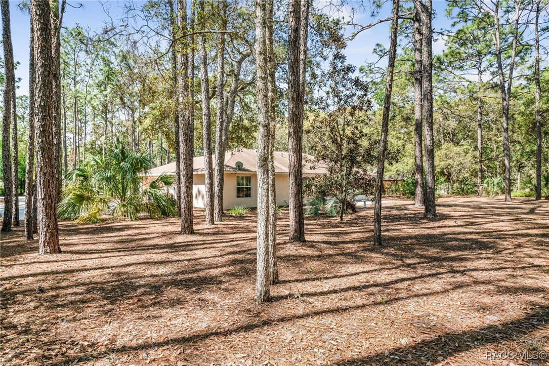 Hernando, Florida 34442, United States, 3 Bedrooms Bedrooms, ,2 BathroomsBathrooms,Residential,Pending,112497