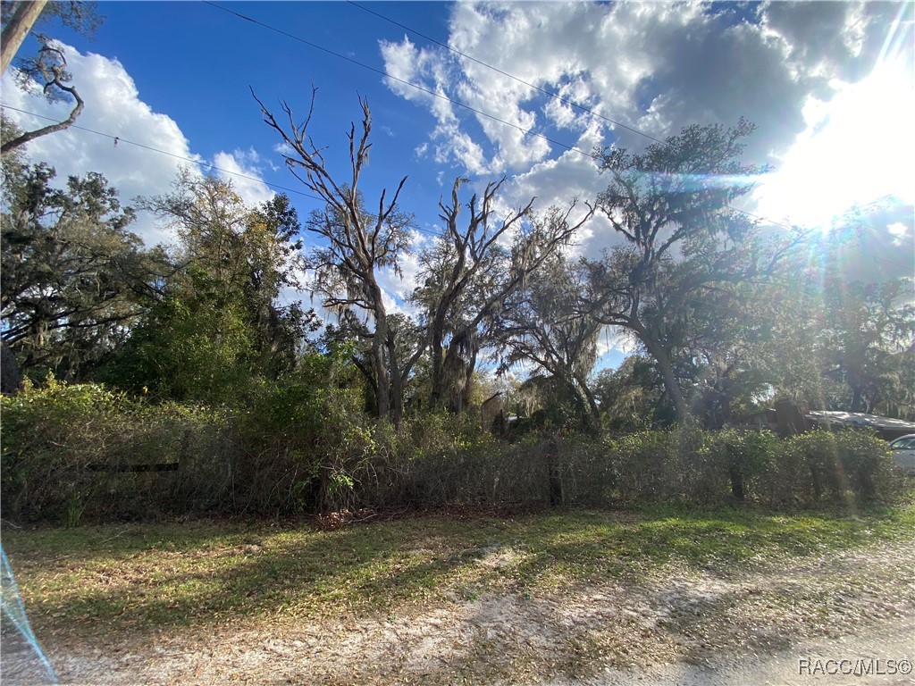 18938 SE 105th Lane, Ocklawaha, Florida image 28