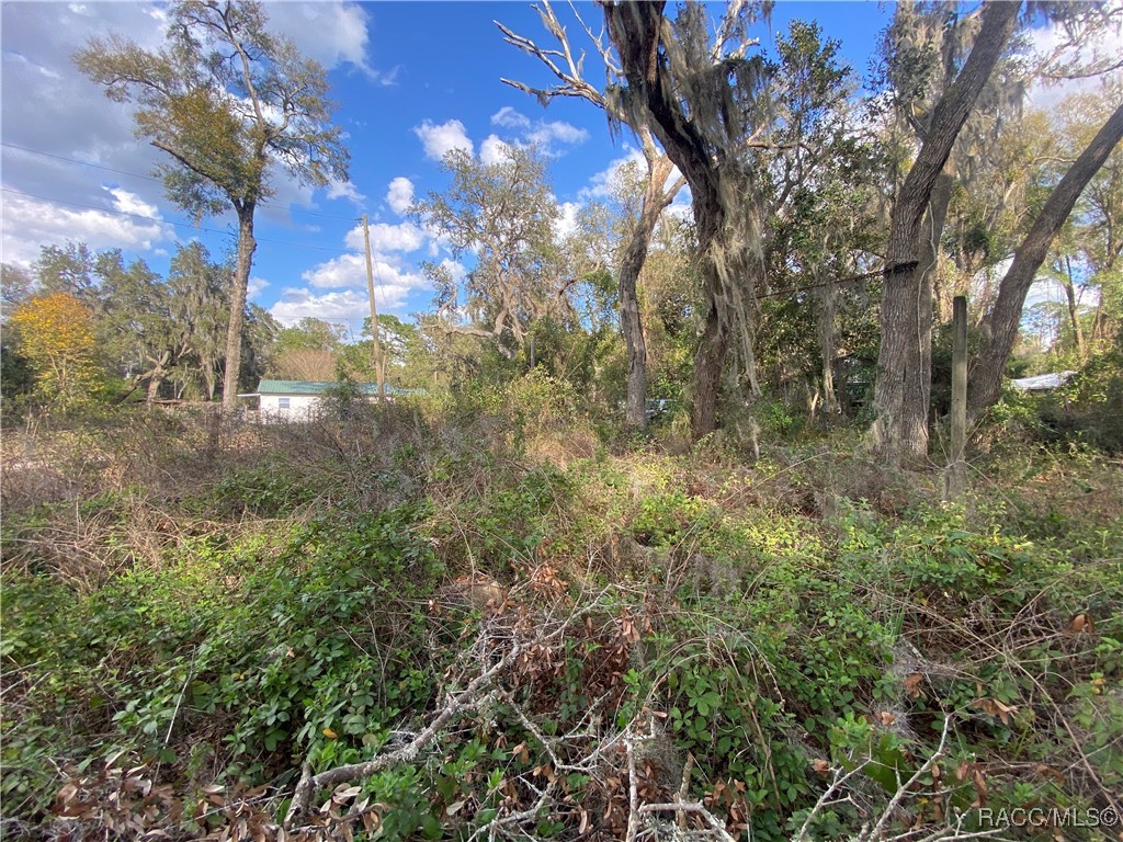 18938 SE 105th Lane, Ocklawaha, Florida image 22
