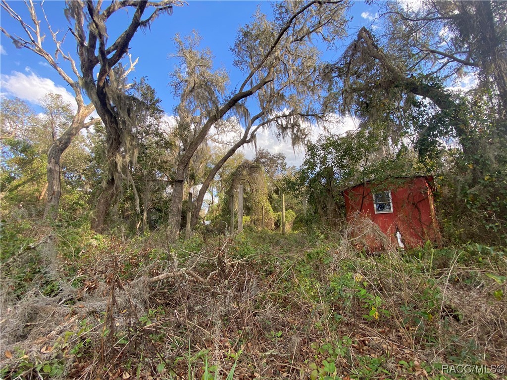 18938 SE 105th Lane, Ocklawaha, Florida image 23
