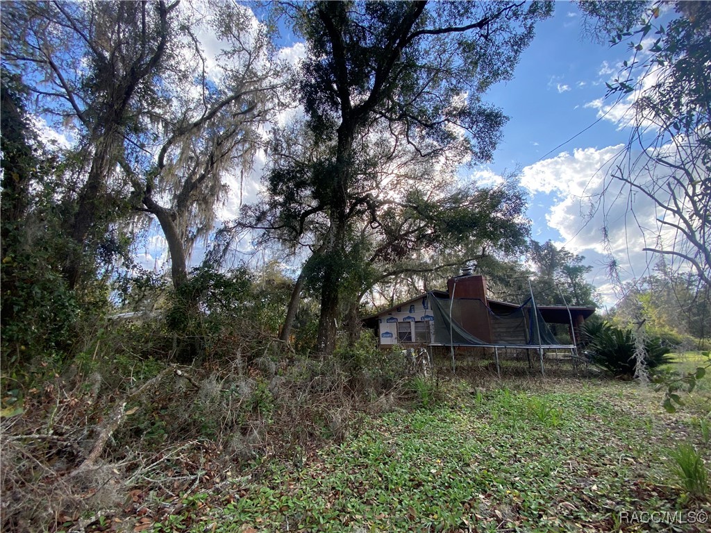 18938 SE 105th Lane, Ocklawaha, Florida image 26