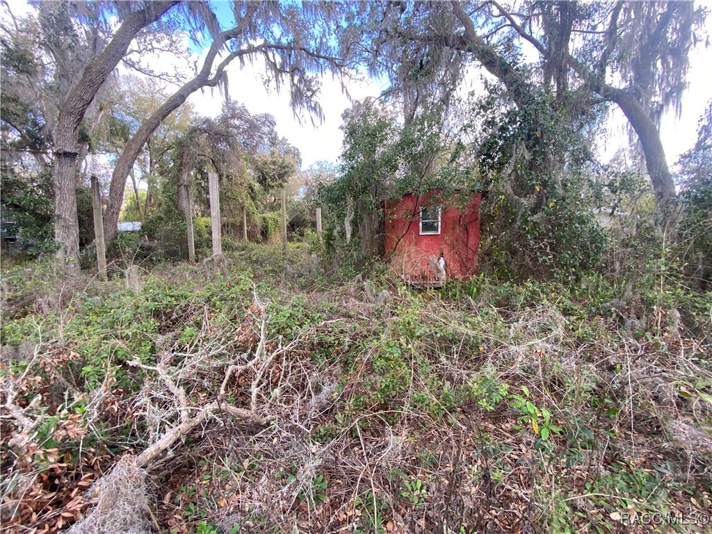 18938 SE 105th Lane, Ocklawaha, Florida image 19