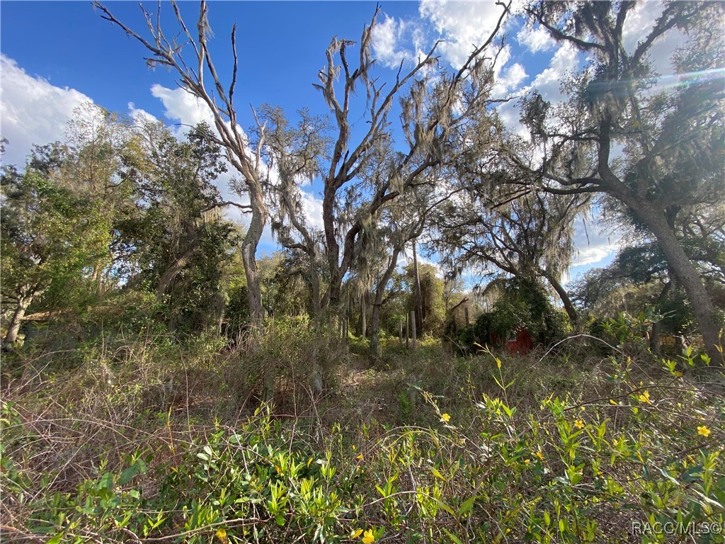 18938 SE 105th Lane, Ocklawaha, Florida image 29