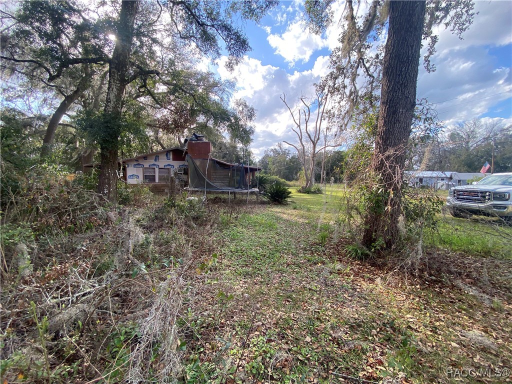 18938 SE 105th Lane, Ocklawaha, Florida image 20