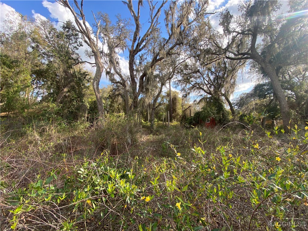 18938 SE 105th Lane, Ocklawaha, Florida image 31