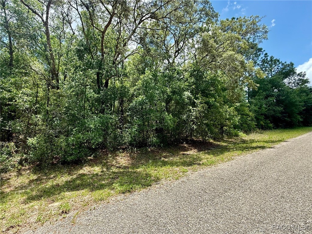 2628 W Scilla Drive, Citrus Springs, Florida image 2