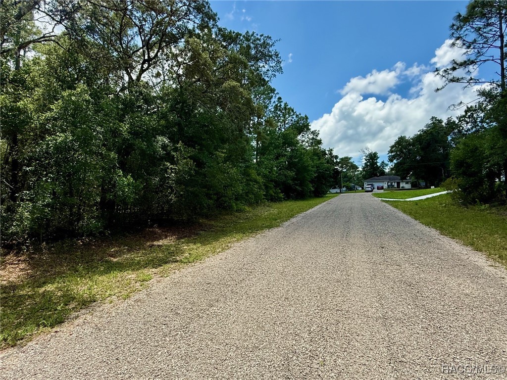 2628 W Scilla Drive, Citrus Springs, Florida image 3