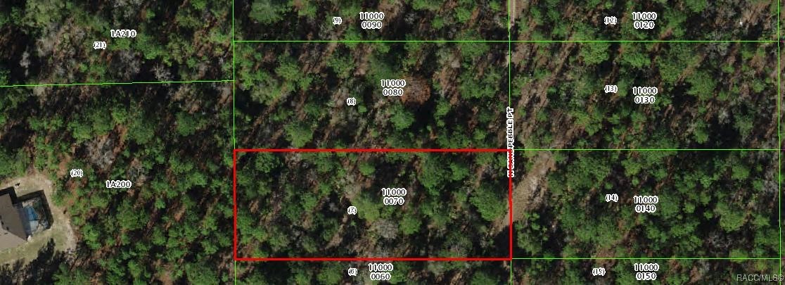 4930 N Sandpebble Point, Crystal River, Florida image 1