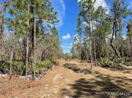 4930 N Sandpebble Point, Crystal River, Florida image 2