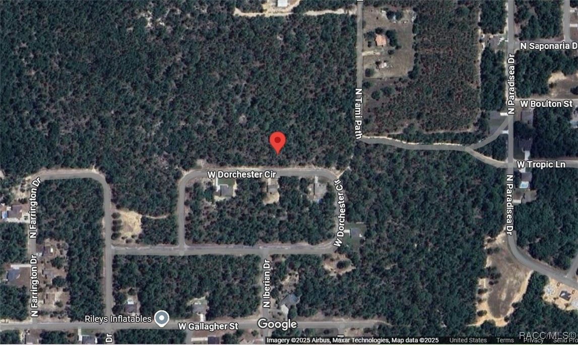 4200 W Dorchester Circle, Dunnellon, Florida image 2