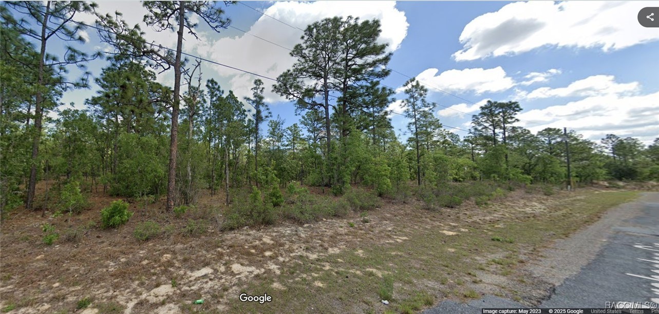 4200 W Dorchester Circle, Dunnellon, Florida image 1