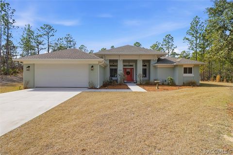 4318 N Pink Poppy Drive Beverly Hills FL 34465