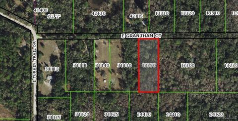 Vacant Land For Sale - 6402 E Grantham Court<br/> Hernando, FL 34442