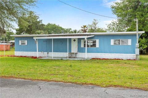 Homes For Sale - 4524 N Canoe Terrace<br/> Hernando, FL 34442
