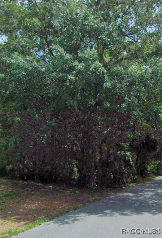 LOT 16 Cr 426 Road, Lake Panasoffkee, Florida image 4