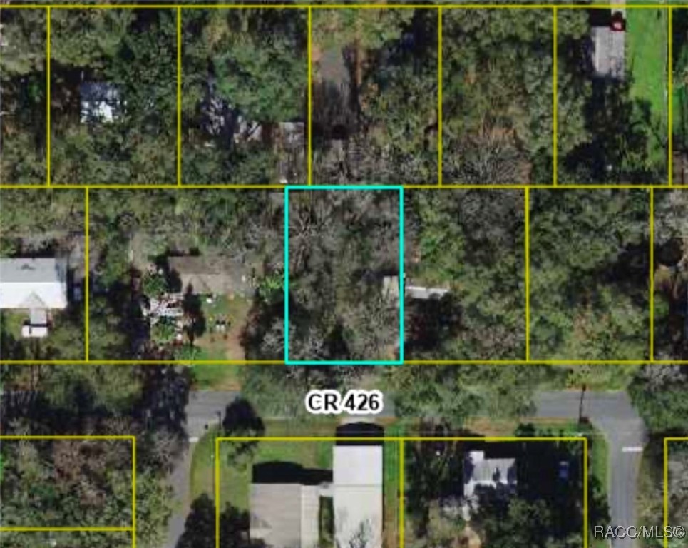 LOT 16 Cr 426 Road, Lake Panasoffkee, Florida image 1