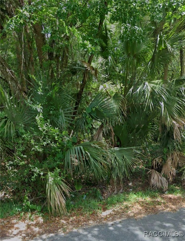 LOT 16 Cr 426 Road, Lake Panasoffkee, Florida image 3