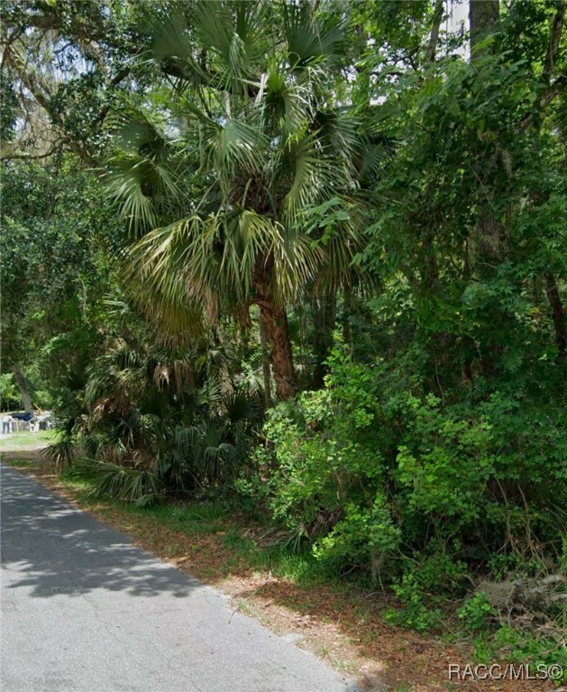 LOT 16 Cr 426 Road, Lake Panasoffkee, Florida image 2