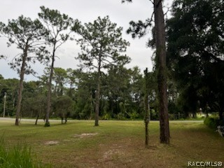 2615 E Dawson Drive, Inverness, Florida image 6