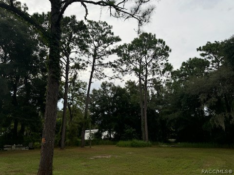 2615 E Dawson Drive, Inverness, Florida image 5