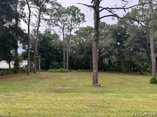 2615 E Dawson Drive, Inverness, Florida image 3