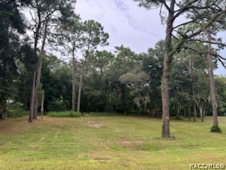 2615 E Dawson Drive, Inverness, Florida image 2