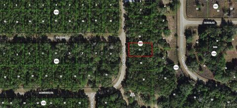 Vacant Land For Sale - 8329 N Wallingford Avenue<br/> Citrus Springs, FL 34434