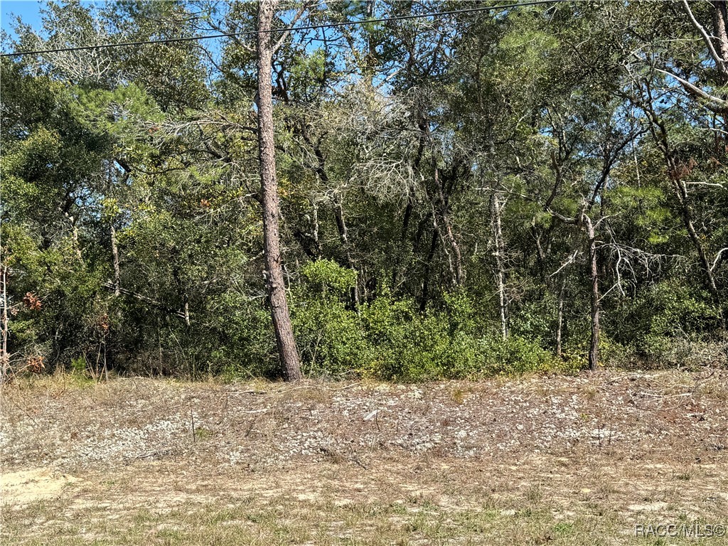 8103 N Gatewood Drive, Citrus Springs, Florida image 2