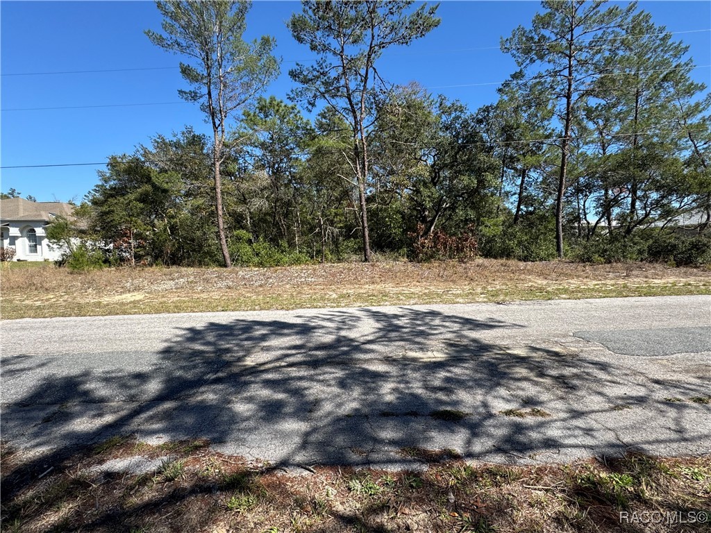 8103 N Gatewood Drive, Citrus Springs, Florida image 5