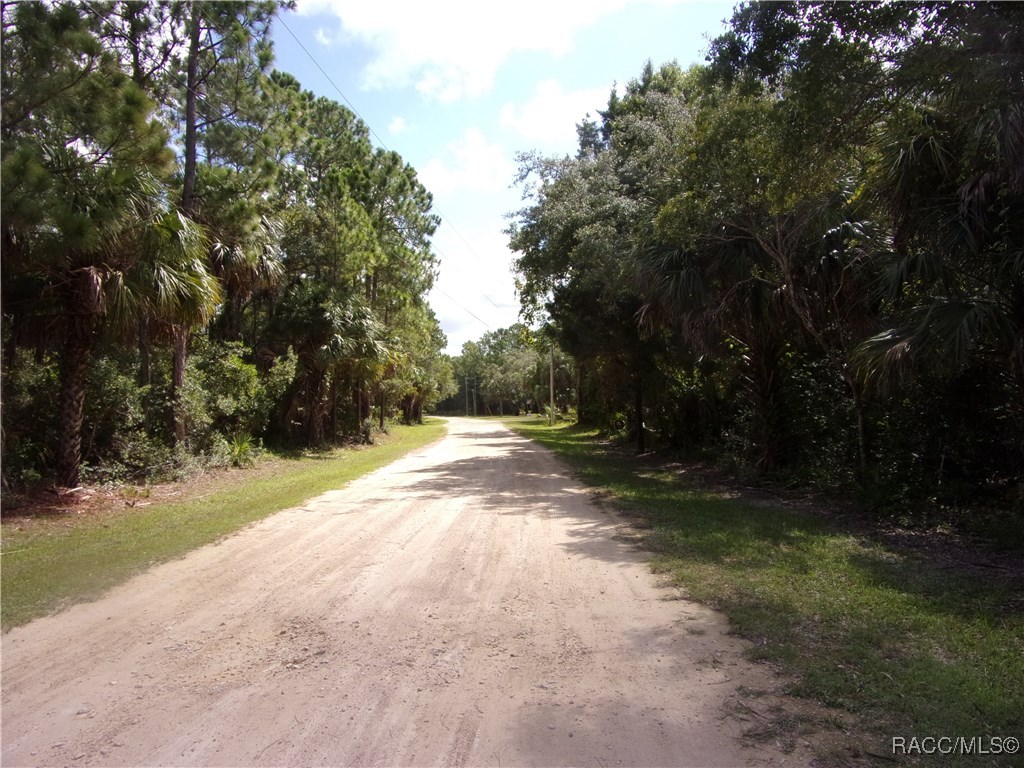 Azalee Avenue, Inglis, Florida image 2