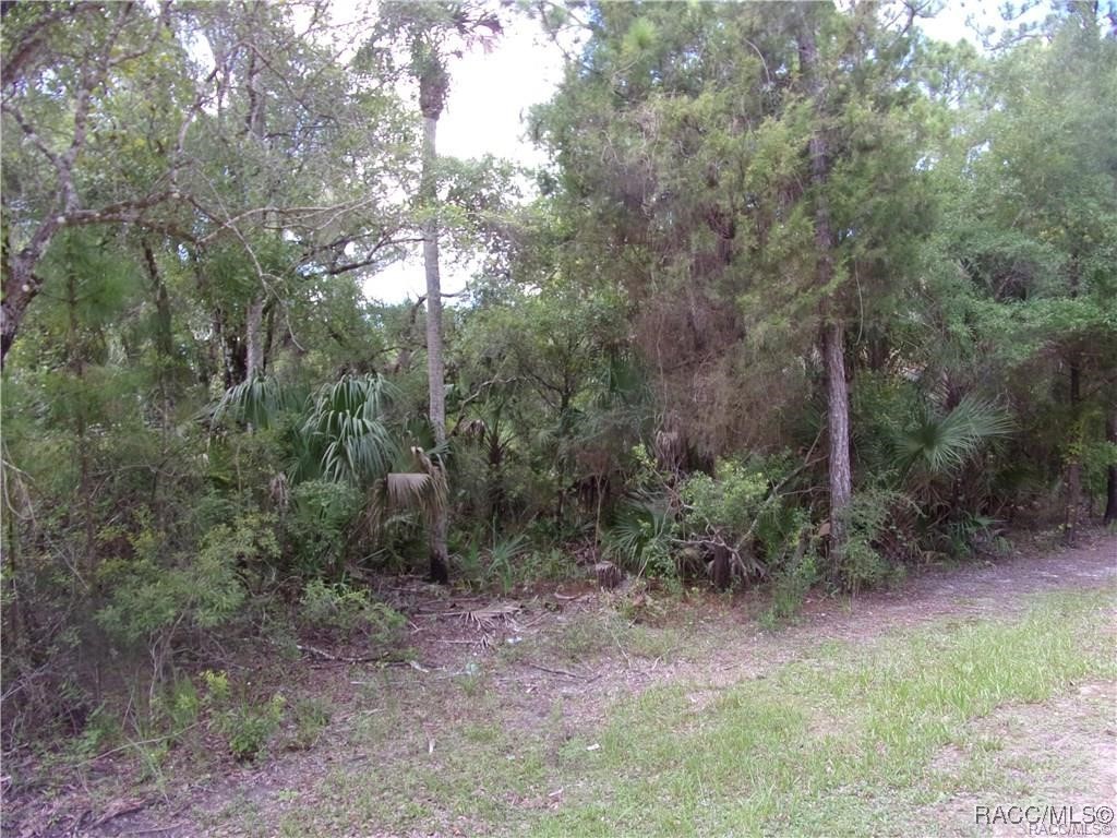 Azalee Avenue, Inglis, Florida image 6