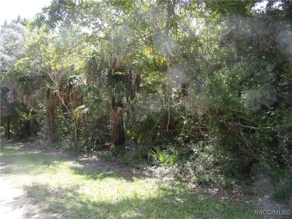 Azalee Avenue, Inglis, Florida image 1