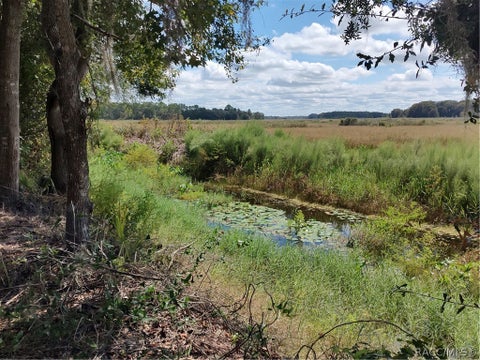 Vacant Land For Sale - 6090 N Bayfront Drive<br/> Hernando, FL 34442