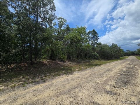 Vacant Land For Sale - 6468 N Baylor Terrace<br/> Citrus Springs, FL 34433