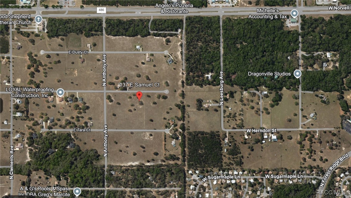 Hernando, Florida 34442, United States, ,Land,Active,152200