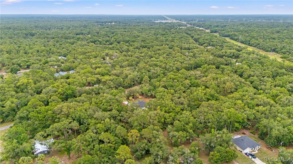 8276 N Star Blaze Drive, Crystal River, Florida image 45