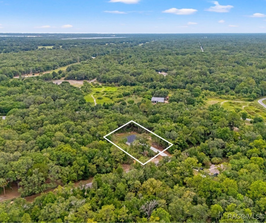 8276 N Star Blaze Drive, Crystal River, Florida image 5