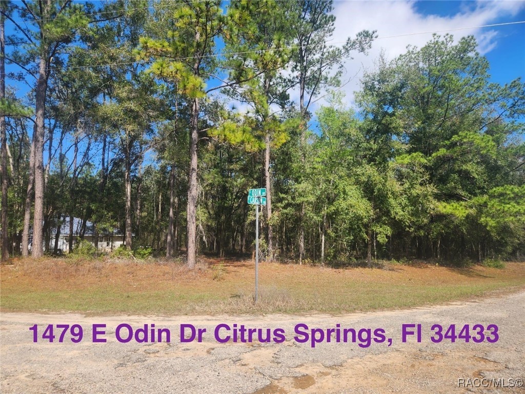 1479 E Odin Drive, Citrus Springs, Florida image 1