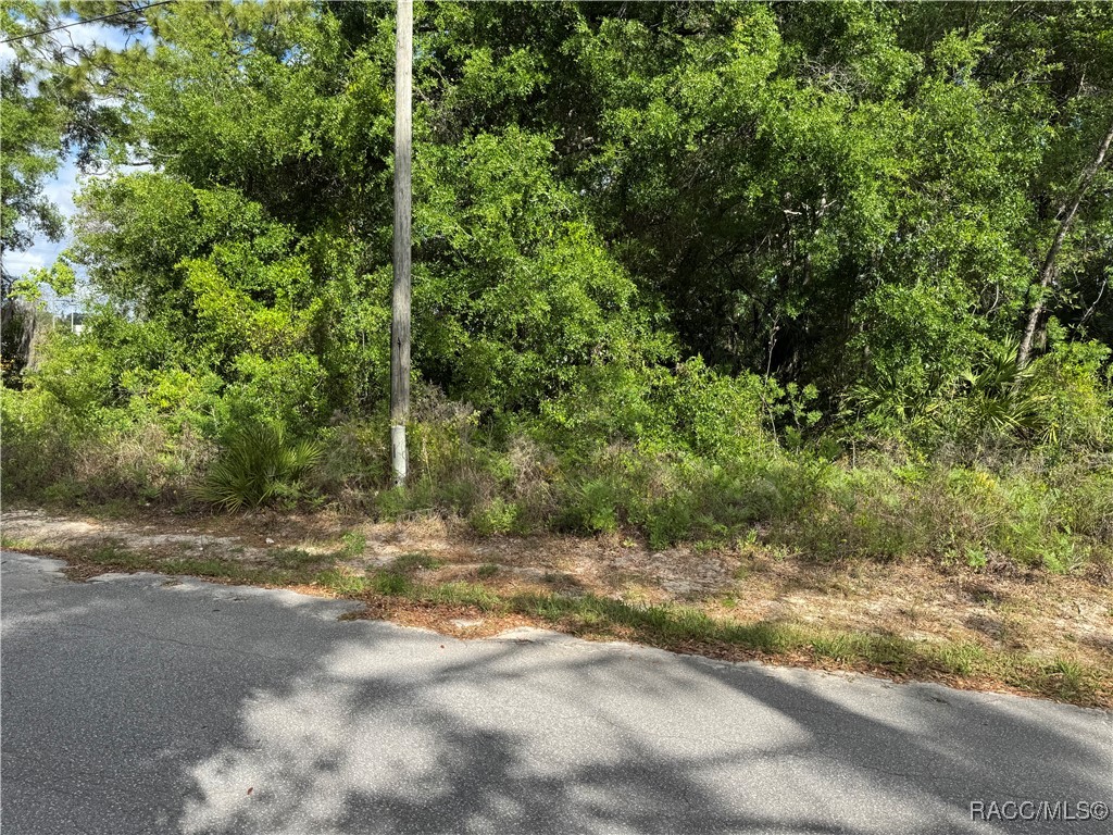 6623 W Gannet Place, Crystal River, Florida image 2