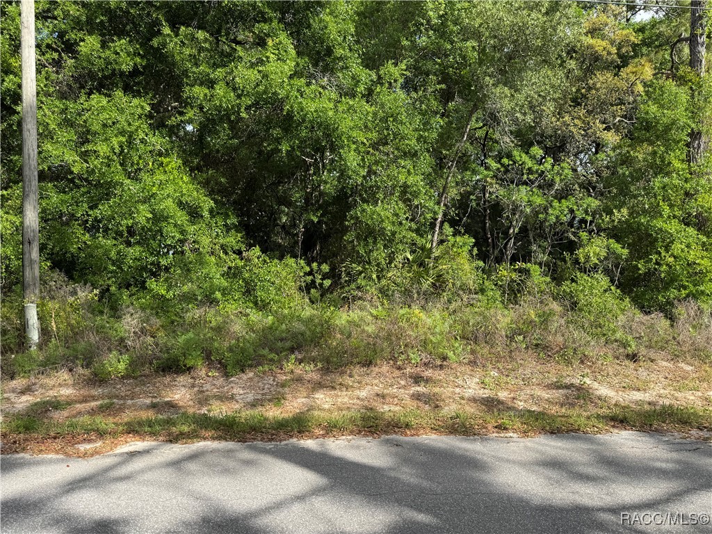 6623 W Gannet Place, Crystal River, Florida image 1