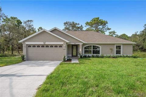 A home in Citrus Springs