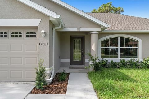 A home in Citrus Springs