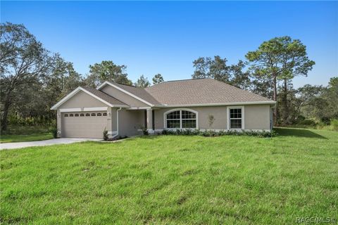 A home in Citrus Springs