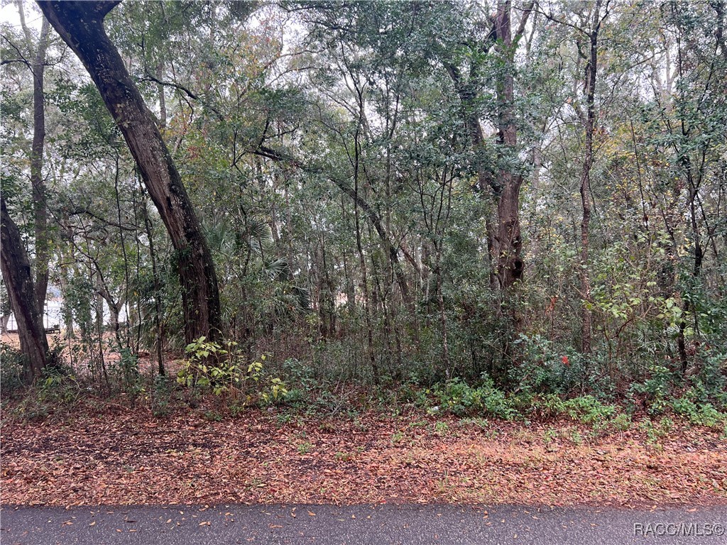 Lot 291.292 Shorewood Drive, Dunnellon, Florida image 3