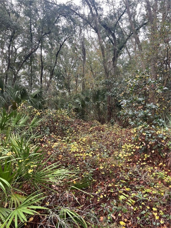 Lot 291.292 Shorewood Drive, Dunnellon, Florida image 2