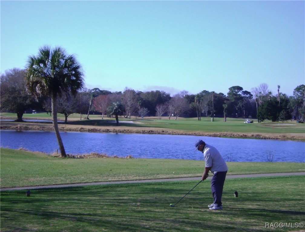 6243 W Lexington Drive, Crystal River, Florida image 38