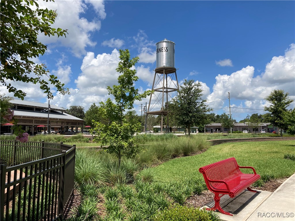 6243 W Lexington Drive, Crystal River, Florida image 47