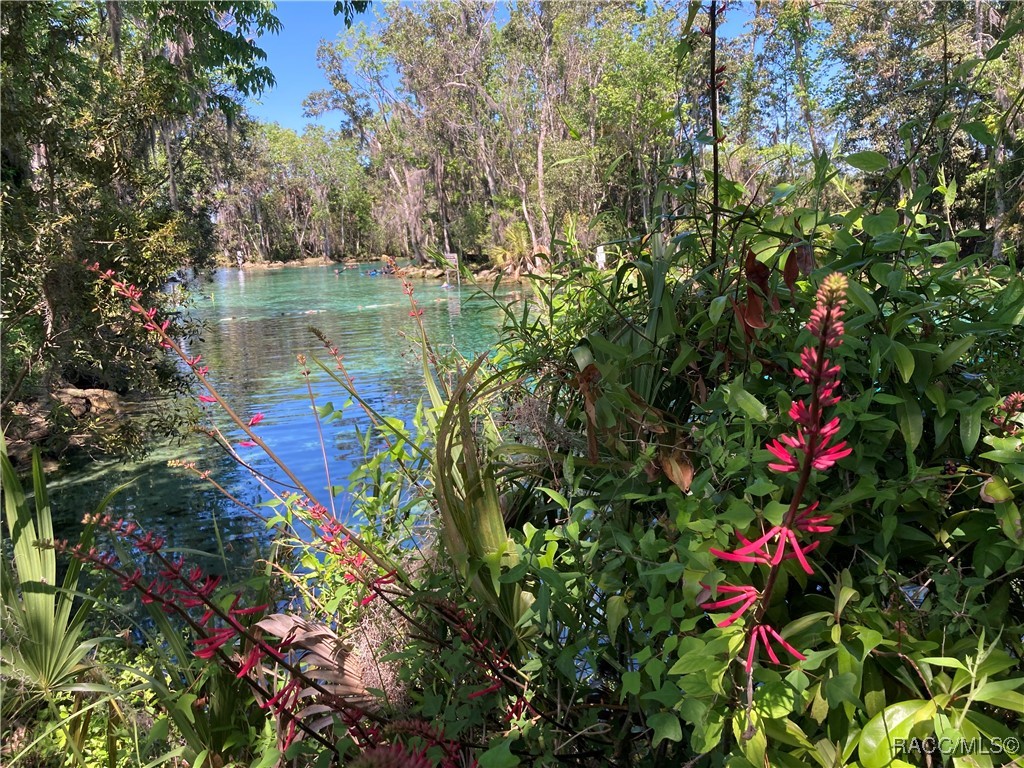 6243 W Lexington Drive, Crystal River, Florida image 41