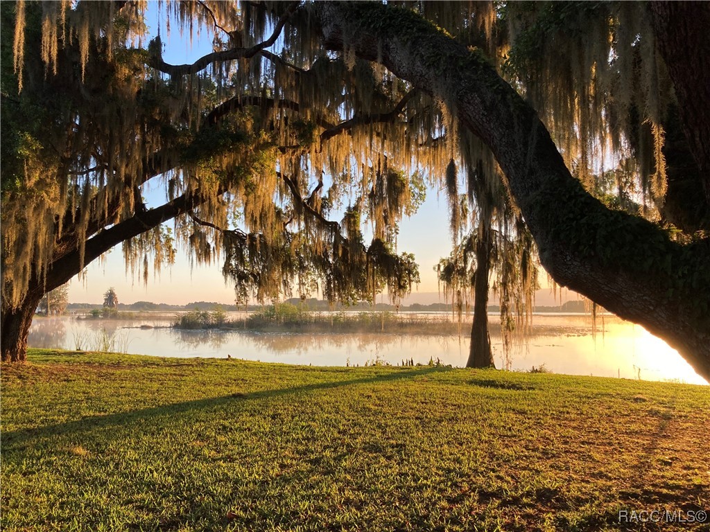 3748 E Lake Todd Drive, Hernando, Florida image 30