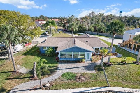 A home in Homosassa